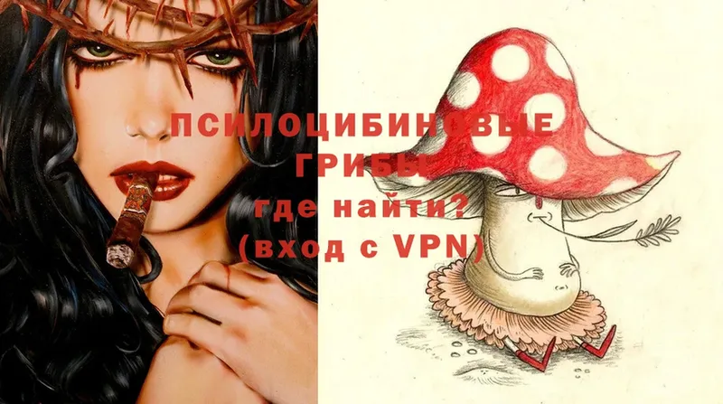 наркота  Алупка  kraken tor  Галлюциногенные грибы MAGIC MUSHROOMS 